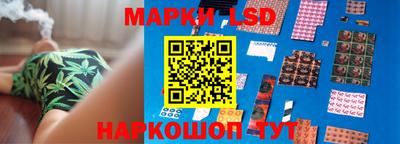 прущие грибы Железногорск