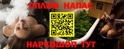 прущие грибы Железногорск