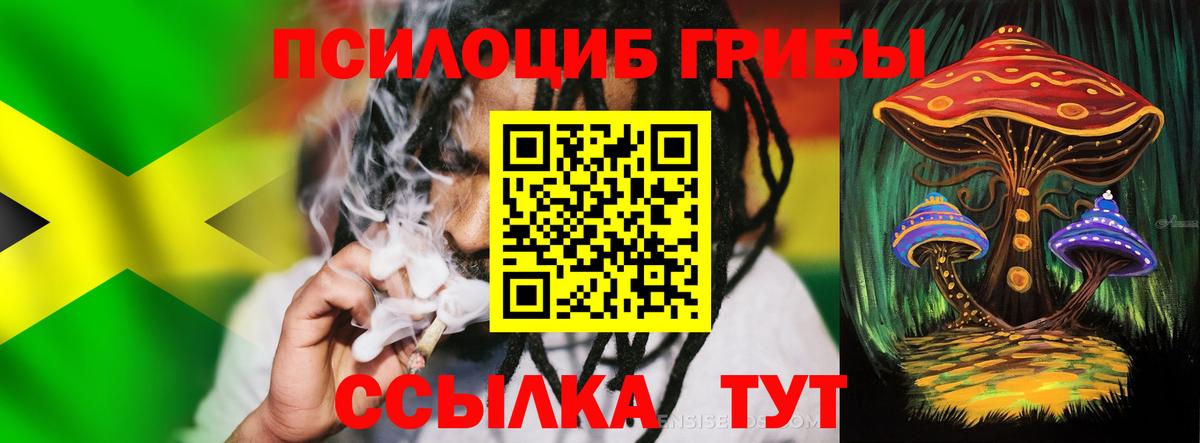 Богородицк  Псилоцибиновые грибы прущие грибы  Вход с VPN 