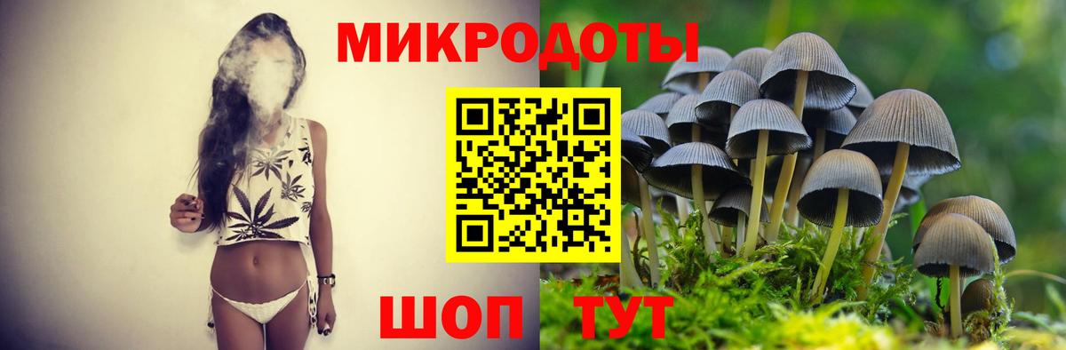 Псилоцибиновые грибы Psilocybe Богородицк